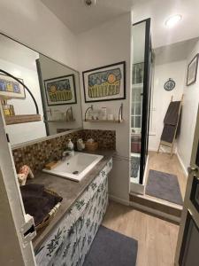 a bathroom with a sink and a shower at Villa des Chats in Calais