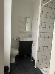 a bathroom with a toilet and a mirror at OnlySleep Femern in Holeby