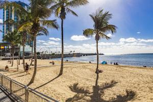 personas en una playa con palmeras y el océano en Apartamento Playa del Reducto, en Arrecife