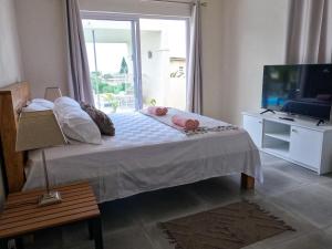 TV a/nebo společenská místnost v ubytování ELOMY VILLA