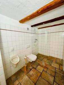 La salle de bains est pourvue de toilettes et d'un bidet. dans l'établissement Eine Etage im historischen Gästehaus bei Magdeburg, à Barleben