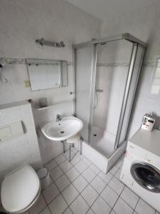 a bathroom with a shower and a sink and a toilet at Kranichwiese FW 1 in Zingst