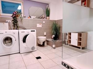uma casa de banho com uma máquina de lavar roupa e um WC em Ferienappartement Lydia em Odelzhausen