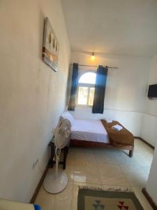 a small bedroom with a bed and a window at Neptune Hotel in Dahab