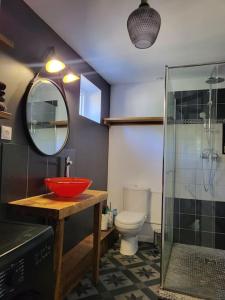 een badkamer met een wastafel, een toilet en een spiegel bij Cottage cosy à la campagne in Queyssac
