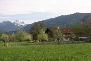 ein Haus auf einem Feld mit Bergen im Hintergrund in der Unterkunft Braunhof in Bad Feilnbach