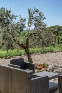 un banco y una mesa delante de un árbol en Villa Borgo Pian di Sala en San Gimignano