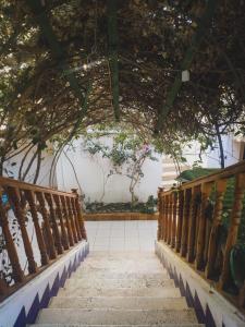 a stairway with trees in the background at Neptune Hotel in Dahab