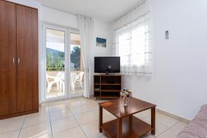 TV a/nebo společenská místnost v ubytování Apartments Crnekovic Jasna