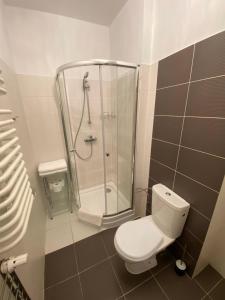 a bathroom with a shower and a white toilet at Klimatyczny apartament Romek 5 minut od Krupówek in Zakopane