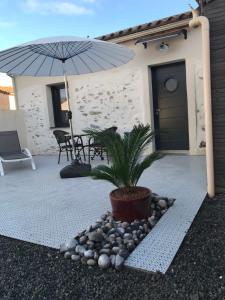 a patio with a potted plant and an umbrella at La Passionnante Gîte avec Spa privatif in Saint-Philbert-de-Bouaine