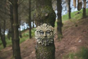 Gallery image of Raven Yurt - Yurtopia in Aberystwyth