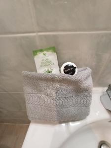 een badkamer met een grijze mand op een wastafel bij LE RUN AR MOR 22 in Bas Kerhain