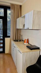 a kitchen with a sink and a counter top at Rosheli Apartments in Manglisi