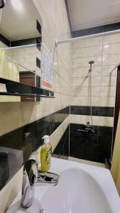 Een badkamer bij Rosheli Apartments