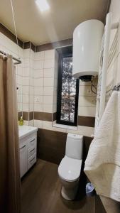 a bathroom with a toilet and a sink and a window at Rosheli Apartments in Manglisi
