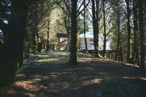 Gallery image of Raven Yurt - Yurtopia in Aberystwyth