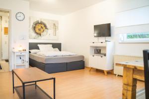 een slaapkamer met een bed en een tv. bij Apartment und WG-Doppelzimmer Sonnenhalde in Tübingen
