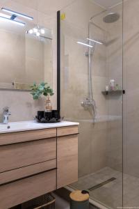 a bathroom with a shower and a sink and a shower at City Cocoon T2 rénové proche centre Saint Denis in Saint-Denis +6 photos