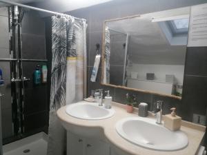 La salle de bains est pourvue de 2 lavabos et d'une douche. dans l'établissement Chambre 23m2 avec jardin Wi-Fi gratuit Saint-Girons, à Saint-Girons