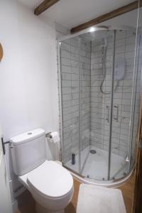 uma casa de banho com um WC e um chuveiro em Rose Hideaway - Forest of Dean Cosy Cabin Retreat em Yorkley