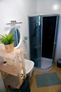 a bathroom with a shower and a toilet and a mirror at Halfarock Vízi-Erdei Apartmanház in Levelek