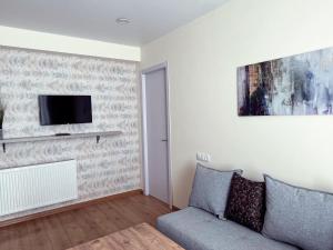 TV a/nebo společenská místnost v ubytování Delux apartment for 6 guest, new gudauri