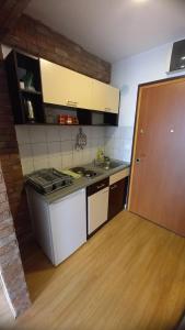 une cuisine avec un évier et une cuisinière four supérieur dans l'établissement Krkulj Apartments, à Ohrid