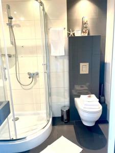 a bathroom with a shower and a white toilet at Apartament Na Skarpie in Nowy Targ