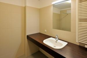 een badkamer met een wastafel en een spiegel bij Apartmenthaus Hafenspitze Ap 21, Blickrichtung Binnenhafen NordOffenes Meer - a72367 in Eckernförde