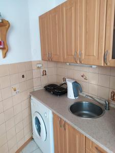 eine Küche mit einer Spüle und einer Waschmaschine in der Unterkunft Garsonka ve Dvoře in Dvůr Králové nad Labem