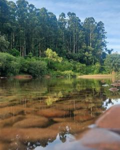 een waterlichaam met bomen op de achtergrond bij Hospedagem Bela Roça - Lareira, Passeio a cavalo, ovelhas in Bom Princípio