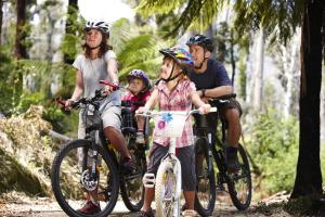 Black Spur Inn في Narbethong: مجموعة من الناس يركبون الدراجات على درب
