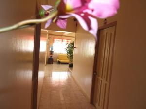 Fotografie z fotogalerie ubytování Constrell Pension House v destinaci Tagbilaran