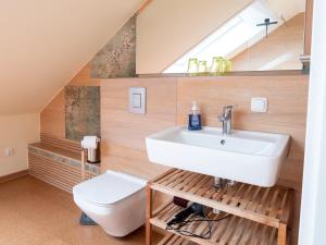 a bathroom with a sink and a toilet at Stifterfelsen Ferienwohnung in Sinzing +15 photos