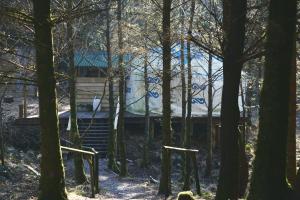 Gallery image of Elf Yurt - Yurtopia in Aberystwyth