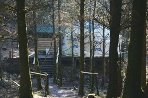 a building in the middle of a forest of trees at Elf Yurt - Yurtopia in Aberystwyth