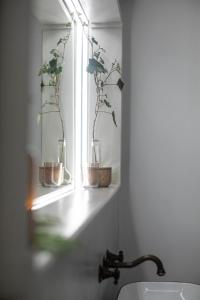 un bagno con finestra con due piante sopra di Kis Vulkán Nyúlontúl a Mencshely