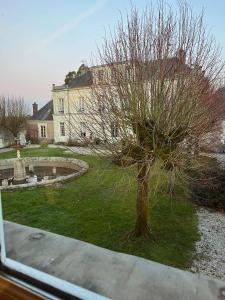 Ein Baum im Hof eines Hauses in der Unterkunft Gîte Le Pavillon in Les Sorinières