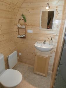 a wooden bathroom with a sink and a toilet at roulotte viticole in Xertigny