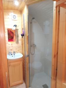 a bathroom with a shower and a toilet and a sink at roulotte viticole in Xertigny