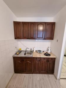 Kuchyň nebo kuchyňský kout v ubytování Globus + 22 fotografií