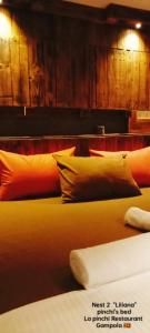 En eller flere senger på et rom på La pinchi " Pinchi's Bed "