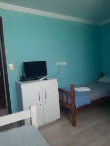 1 dormitorio con 1 cama y TV en un armario en POUSADA LELÊ CONVENÇÕES en Recife