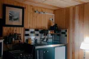 una cucina con piano di lavoro in una camera con pareti in legno di Cottage romantique, son jacuzzi privatif, piscine a Rillieux-la-Pape