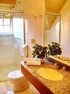 a bathroom with a sink and a toilet and a shower at Hotel Sky Gramado in Gramado