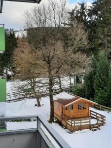 een houten hut in de sneeuw met een boom bij Meisensuite in Hahnenklee-Bockswiese