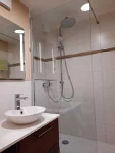 een badkamer met een wastafel en een douche met een douche bij Meisensuite in Hahnenklee-Bockswiese