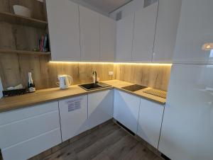 Kuchyňa alebo kuchynka v ubytovaní Apartament Cieplice Jadwigi 10