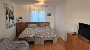Schlafzimmer mit einem Bett und einem Flachbild-TV in der Unterkunft Simple 3-room apartment in Kukuljanovo